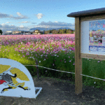 福岡　朝倉市　「キリンビール　福岡工場」