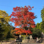福岡　添田町　「英彦山神宮」